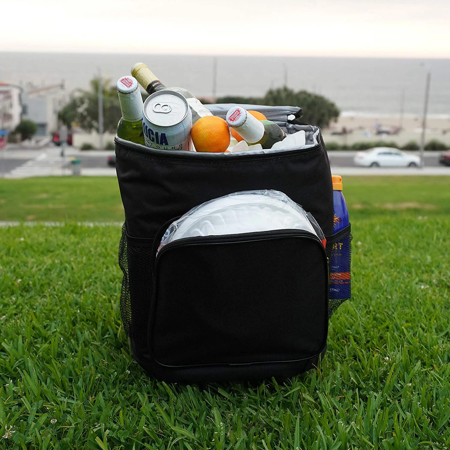 wheeled picnic cooler bag