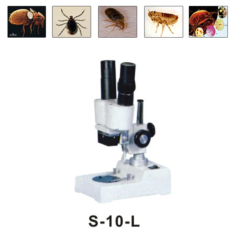 Binocular Biological Stereo Microscope