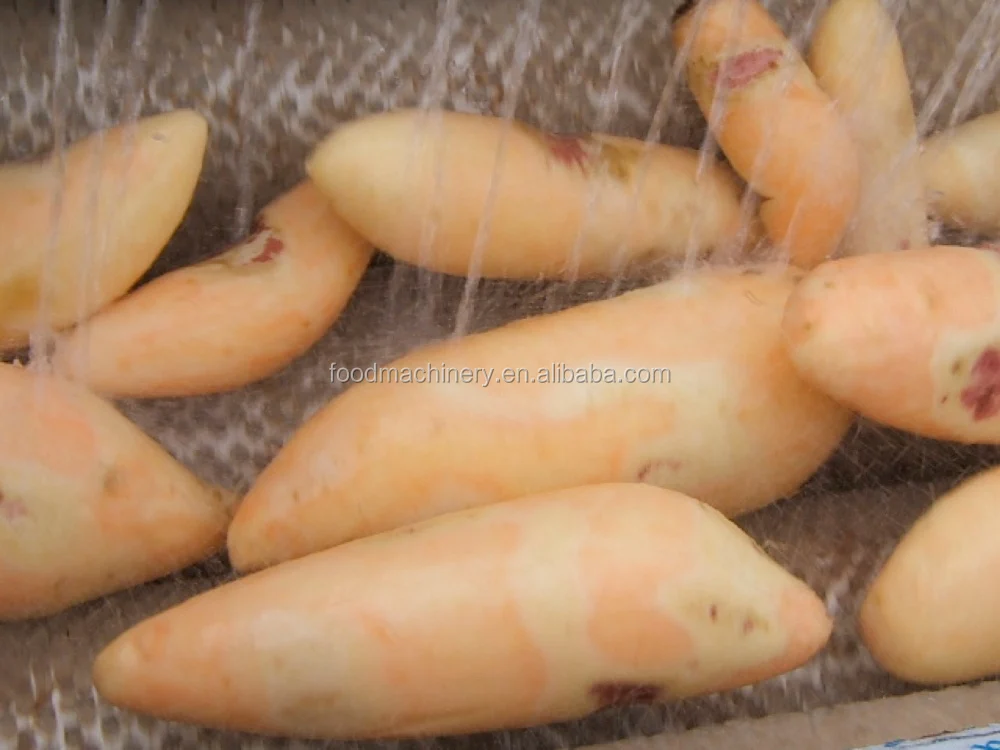 cocoyam peeling and washing machine