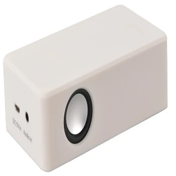 induction speaker (1).jpg