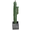 Nordie Style Artificial Cactus Tree Plants With Single Trunk Faked Succulent Plants Bonsai for Market Shopping Mall Decoration