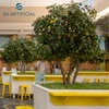 Cheap Hot Sale Artificial Lemon Tree Decoration Artificial Fruit Plant