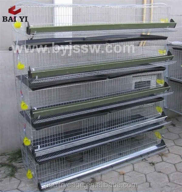 Full Automatic Wire Mesh Quail Cage With Clear Plastic Quail Egg Tray(h