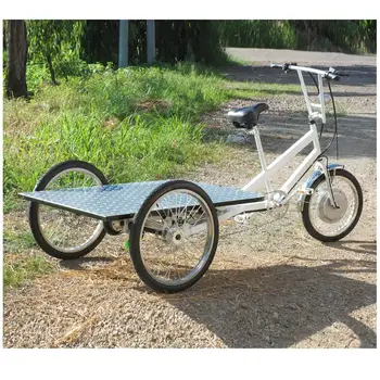 tricycle with trailer