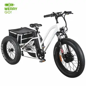 fat tire electric trike for sale