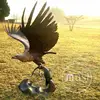 Garden Park Decoration Metal Craft Life Size Bronze Flying Eagle and Catching Fish Statue