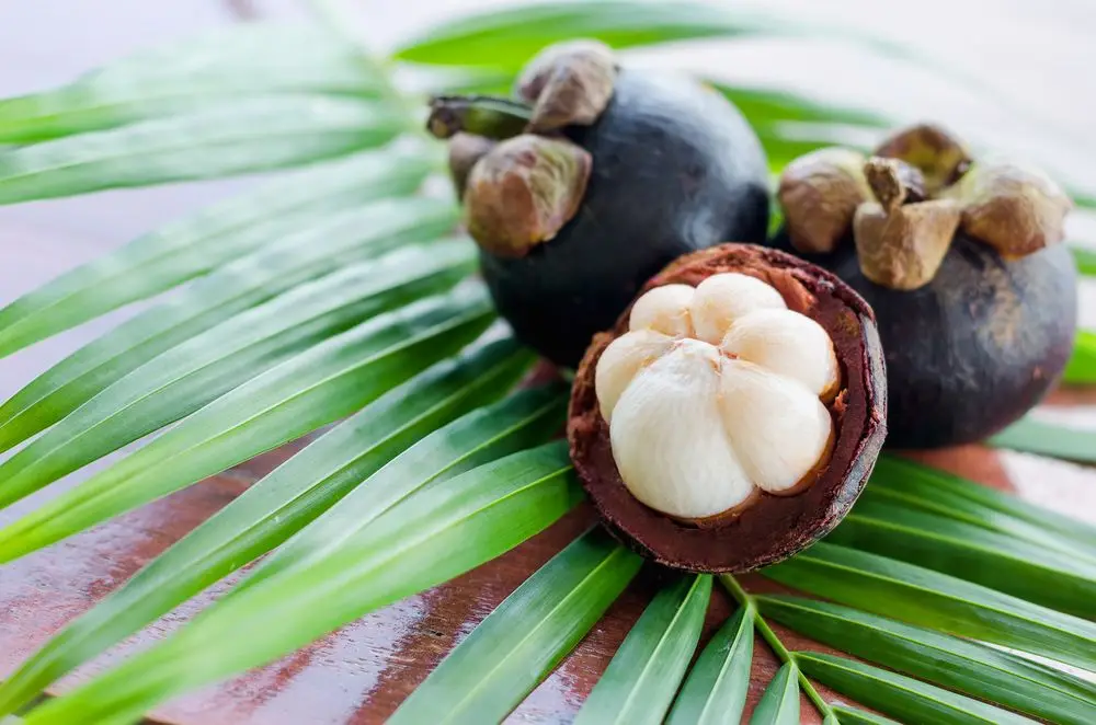 Mangosteen Extract Xanthone Alphamangostin 10 20 30 90