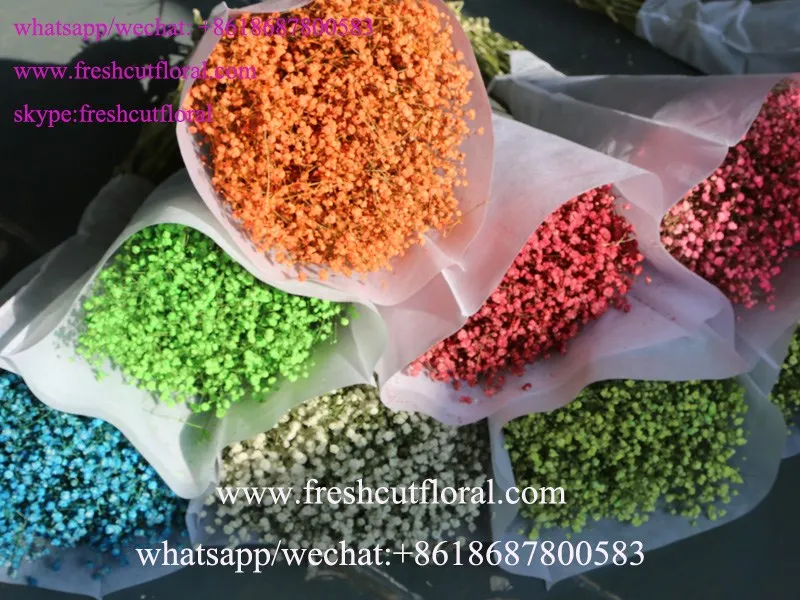 Focus Wholesale Artificial Wholesale Dried Flowers For Flower Bouquets