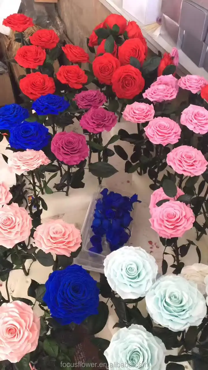 Best Real Natural Preserved Rose In Dome With Good Security For Sale