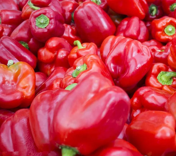 high quality frozen red sweet bell pepper paste bqf pepper