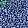 Factory prices natural organic iqf frozen wild blueberry