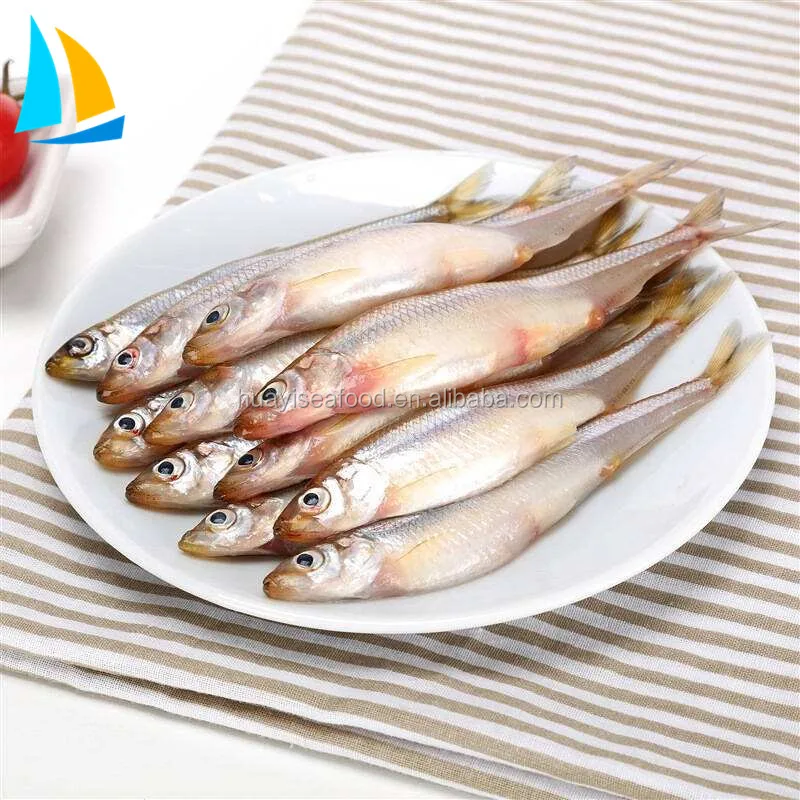 freshwater pond fish for sale