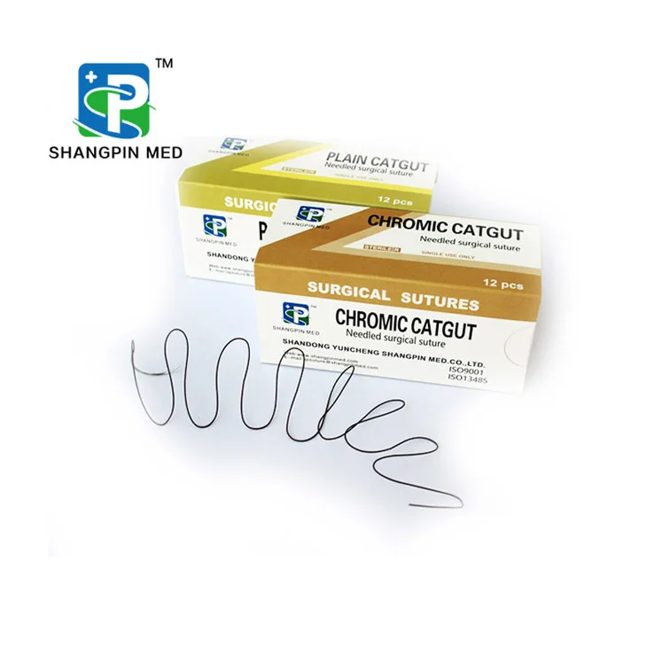 Medical Use Absorbable Disposable Chromic Catgut And Plain Catgut