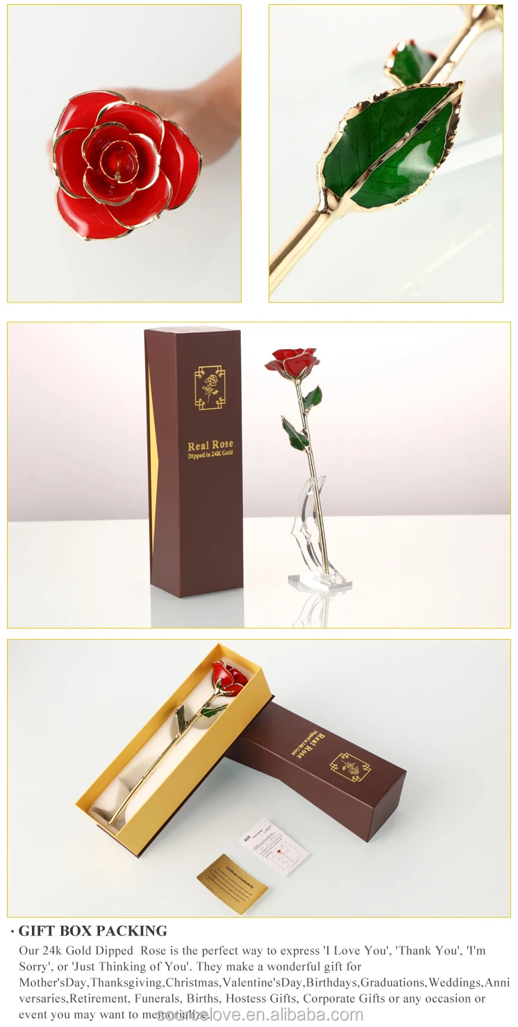 Hot Manufacture Supply 24k Gold Plated Real Preserved Fresh Rose Gold