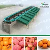 YSXD-66-8-86 single-side fruit sorting machine for peach / apple /tomato/ potato / orange / mango