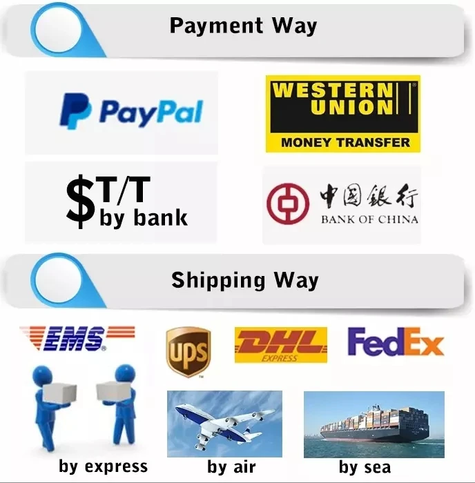 payment.webp.jpg