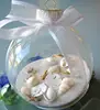 Wholesale Seashell Craft