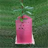recycled pp corrugated plastic corflute tree guards manufacturer