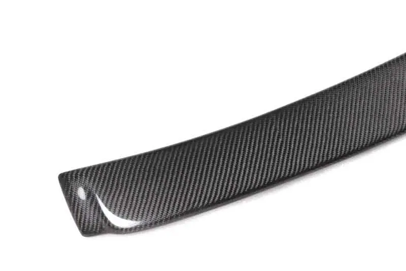 Carbon Fiber Roof