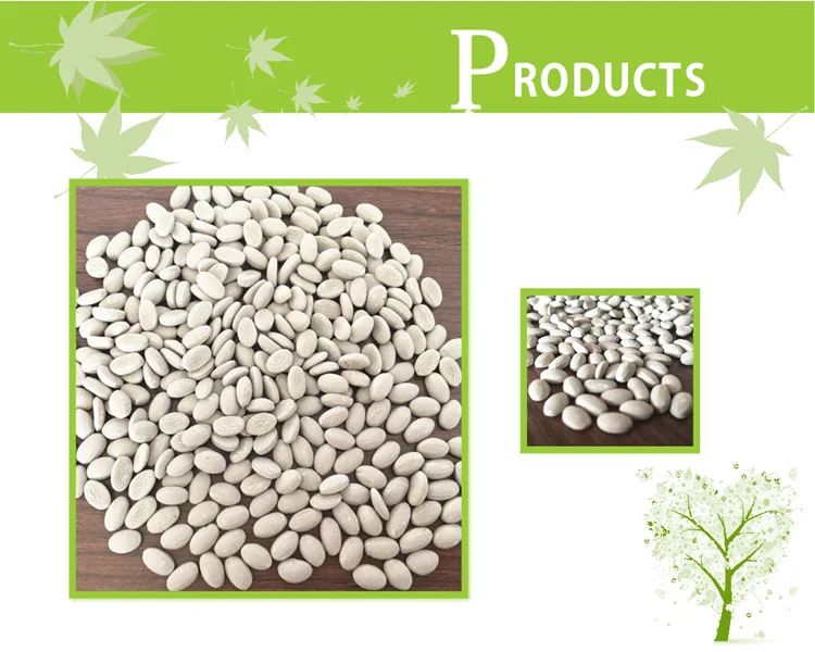 70% Cao Desiccant Masterbatch with good water-absorbing quality