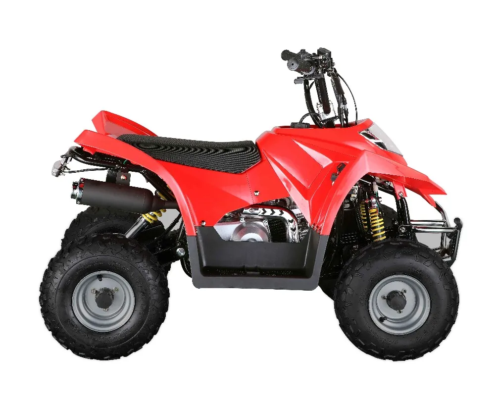 110cc Peach Sport Atv Loncin - Buy 1100cc Loncin Atv,110cc Chinese Atv