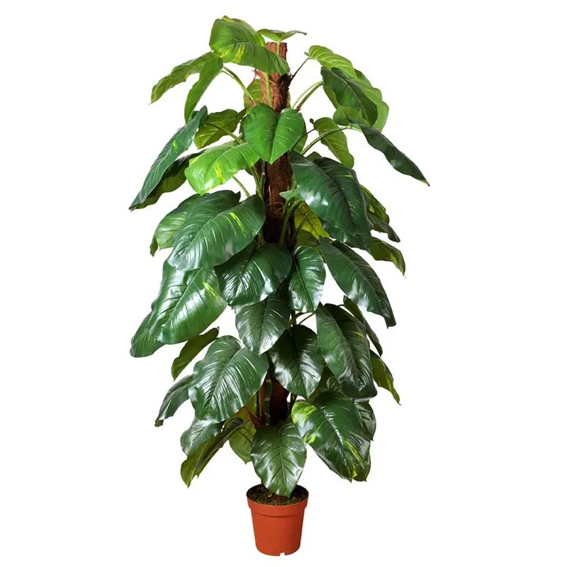 Garden Ornaments Fake Pot Plants,Artificial Plant With Pot Buy Artificial Plant With Pot