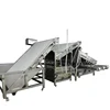 2000kg/h 2500kg/h Shrimp Processing Sorter Equipment