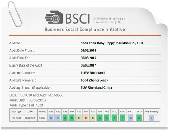BSCI.jpg