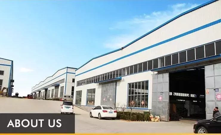 paste-pic-dp_uuid_ghuej