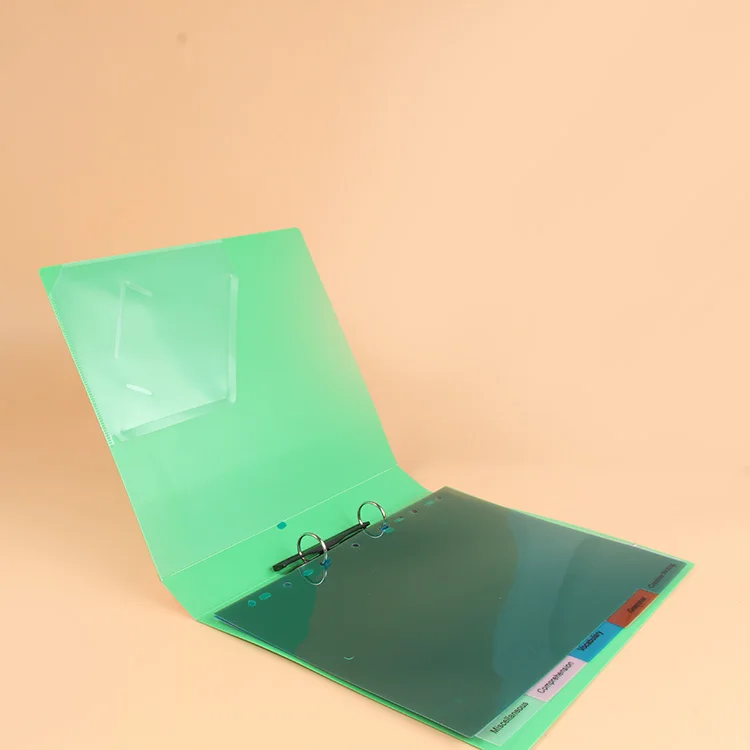 plastic clear file folder