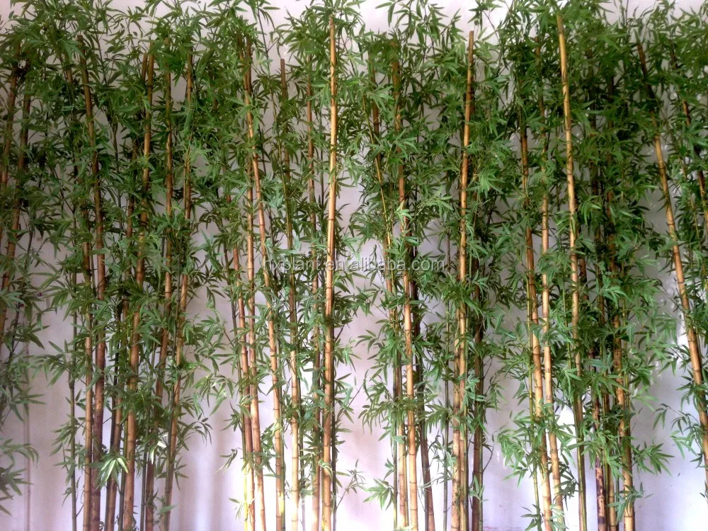 3 meer high in showroom-