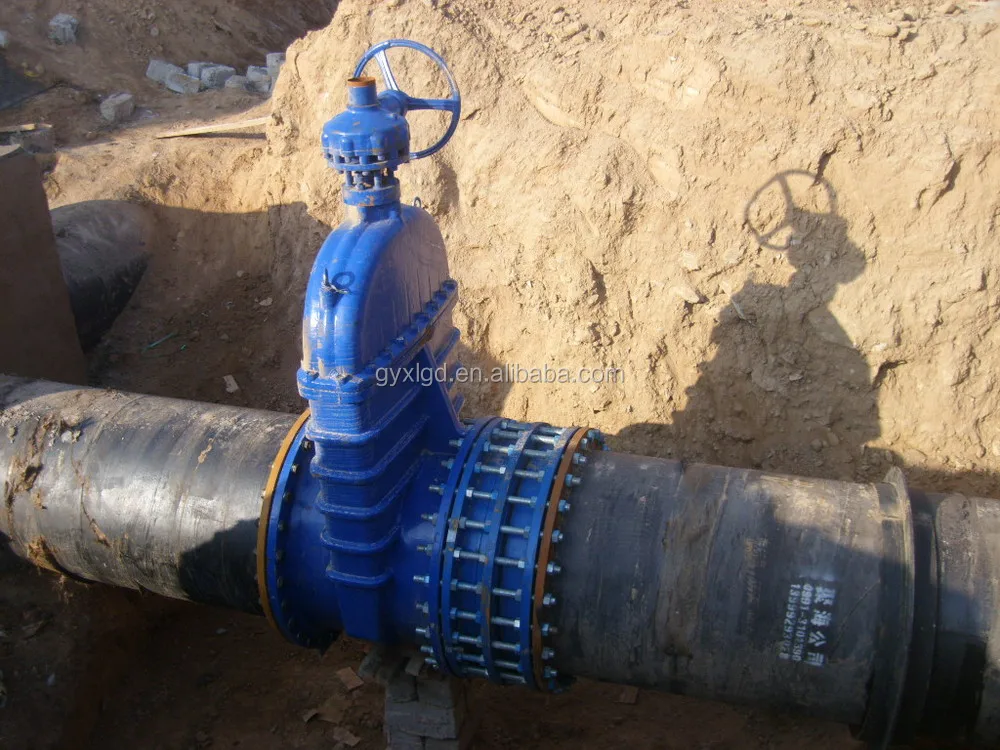 Both End Flanged Dismantling Joints For Plumbing System Material Buy