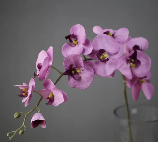 11 Heads Artificial Blue Silk Phalaenopsis Orchids For Wedding Decor