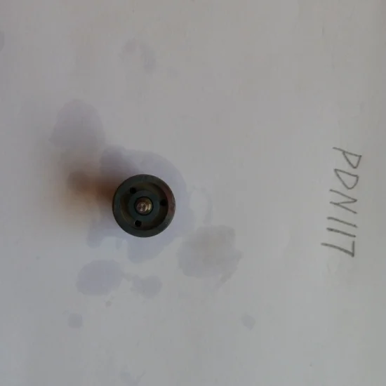 Brandstof Injector Diesel Nozzle Dn4pdn117 Vulpistool Pdn117 Buy