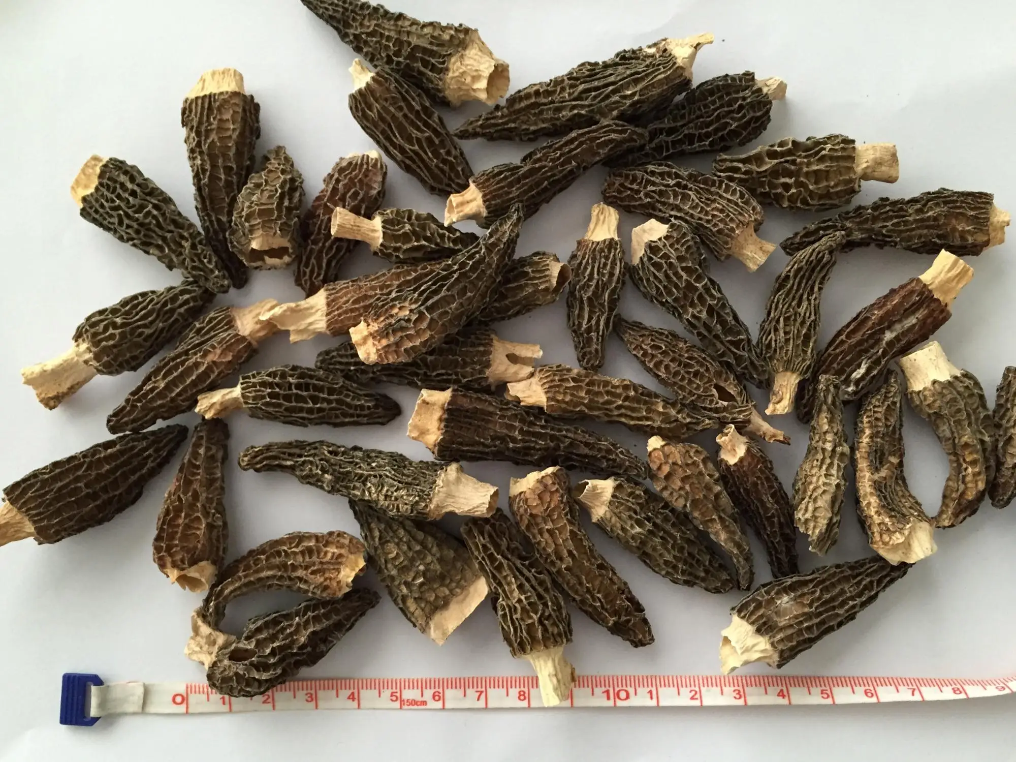 Detan Chinese Dried Wild Morel Mushrooms Buy Chinese Dried Wild Morel