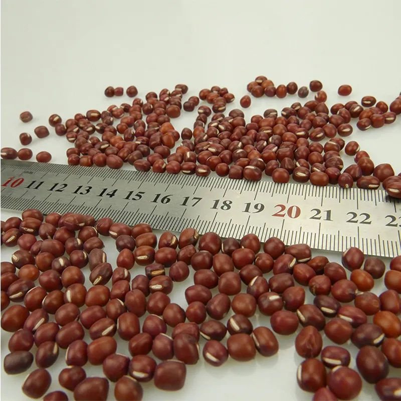 New Crop Small Red Beans Adzuki Beans, Common Red and Pearl Red