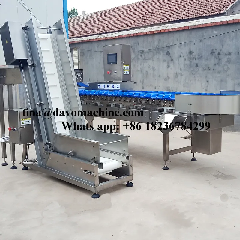 sorting machien 11.jpg