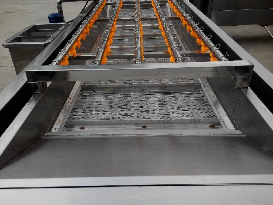 CE Approved Air Bubble Leafy Lettuce Vegetable Fruit Washing Machine