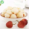 Exporter wholesale cheap healthy peeled canned lychee fruit