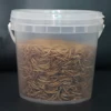 Factory MOQ Small Wholesale Bird Food Freeze Dried Mealworm