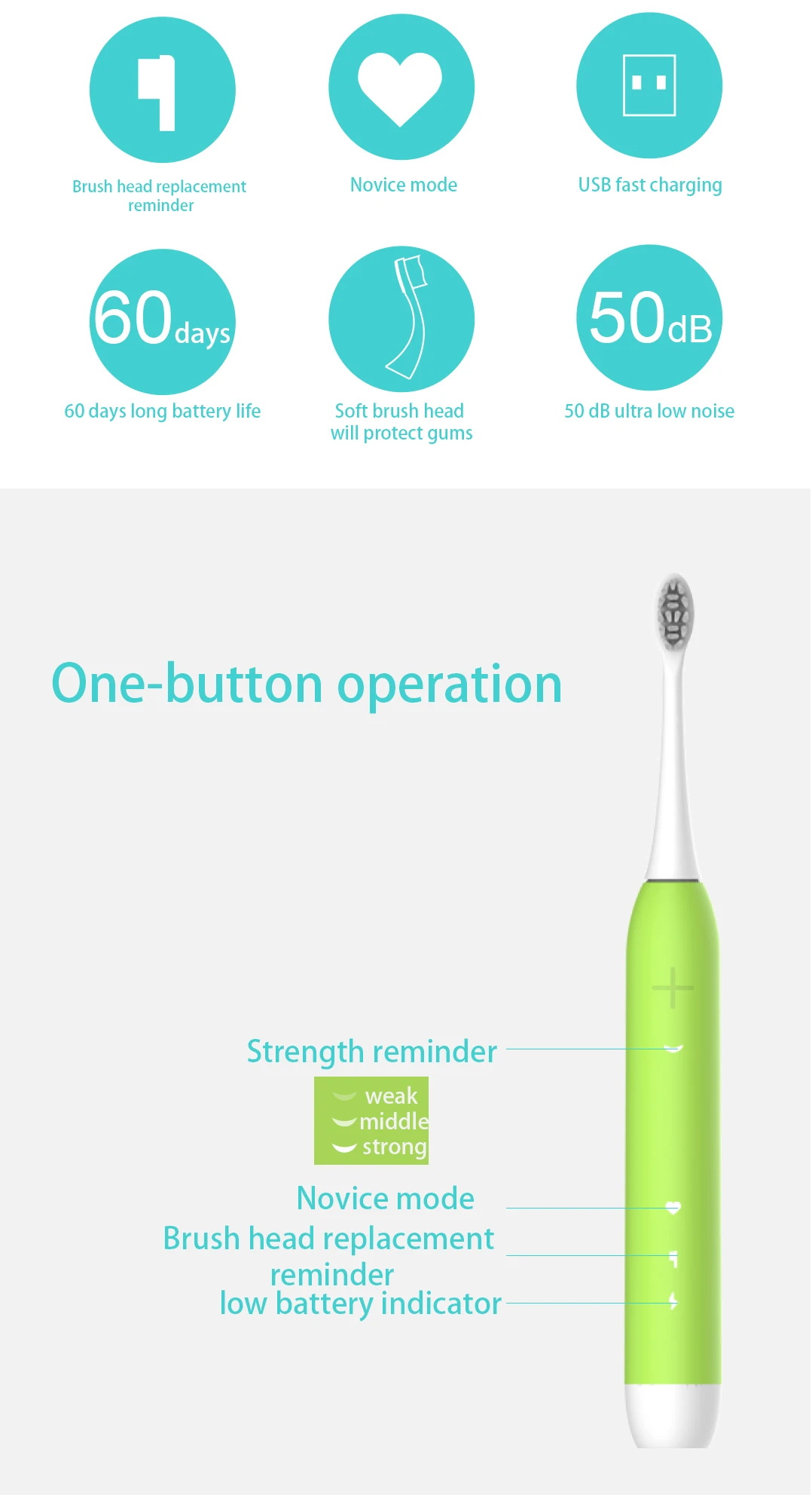 Electric Toothbrush