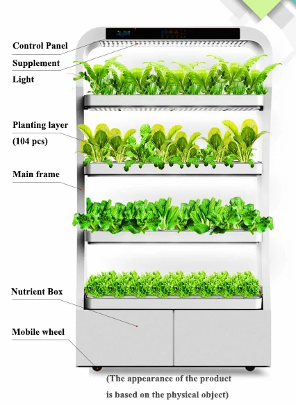 Efficient Greenhouse and Hydroponic Growing System for Indoor Herb Garden with Light