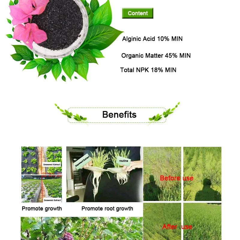 High Dissolution Rate High Concentrated Seaweed Extract Flake Natural Organic Fertilizer for Agriculture