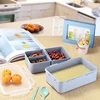 Customized Two Colours Rectangle Type 3 Compartment Food Plastic Storage Box