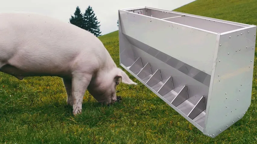 double pig feeder double pig feeder