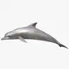 fiberglass large Dolphins statue