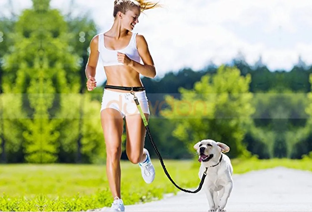 Decimale eiwit Scheiden Verstelbare Handsfree Hond Lood Wandelen Running Jogging Riem Leash - Buy  Jogging Leiband,Hond Wandelen Lead,Running Riem Product on Alibaba.com