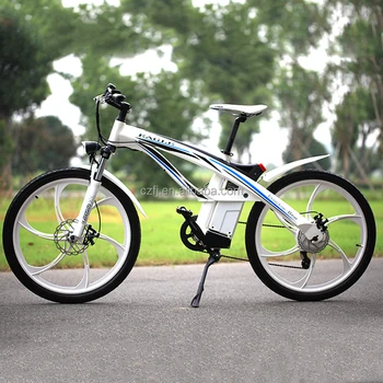 mono electric bike