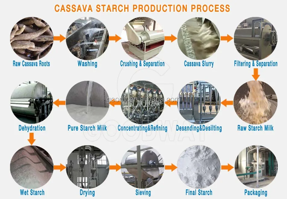 Cassava Starch Line 1