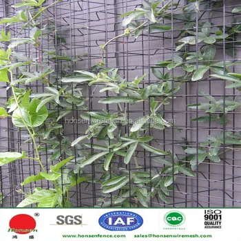 2017 New Product Used Climber Trellis Mesh Welded Wire 2017 New Product Used Climber Trellis Mesh Welded Wire Panel For